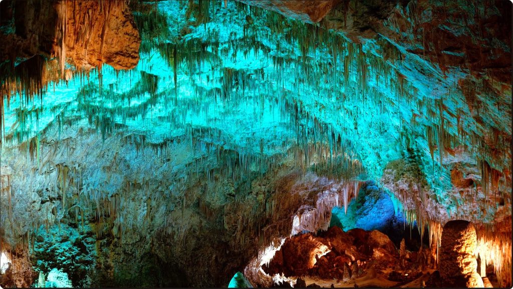 Carlsbad Caverns Park