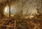 Carlsbad Caverns Pic