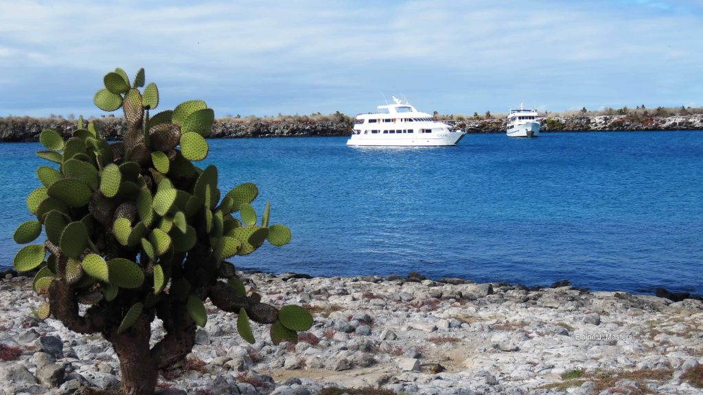 Galapagos Islands Trip