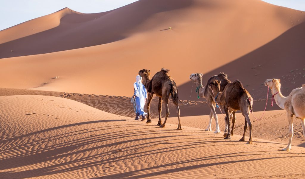 Sahara desert tour