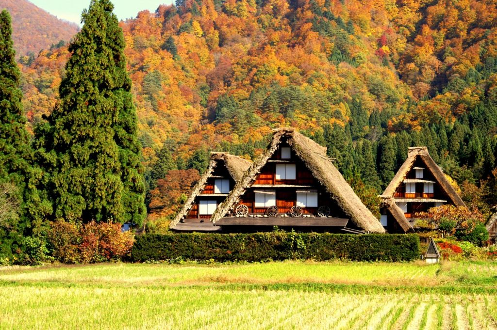 Shirakawa-go Village House