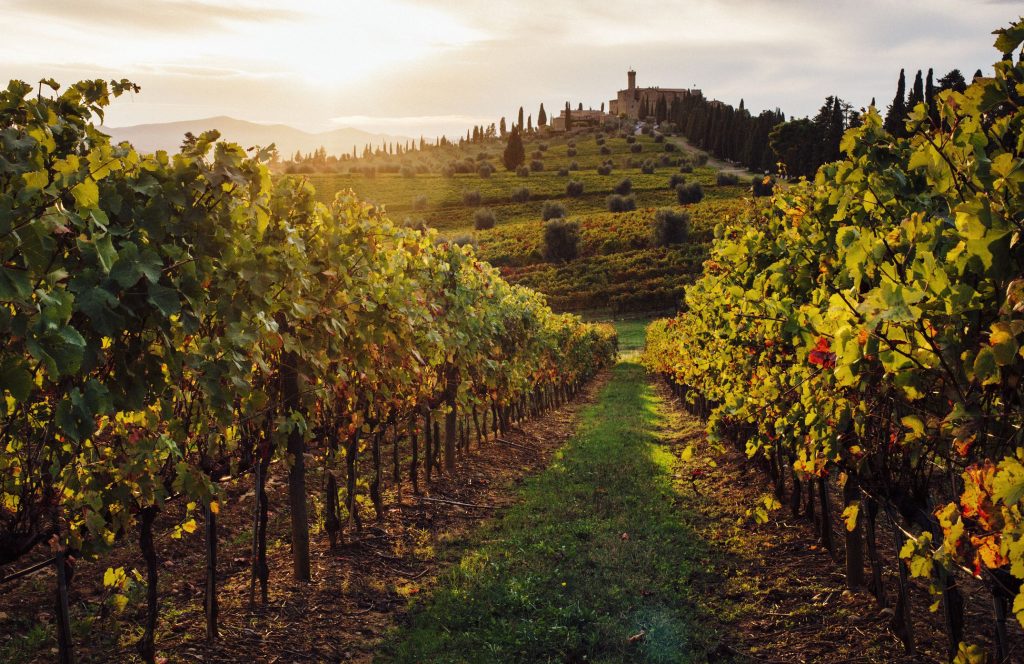 Tuscany Italy Wine