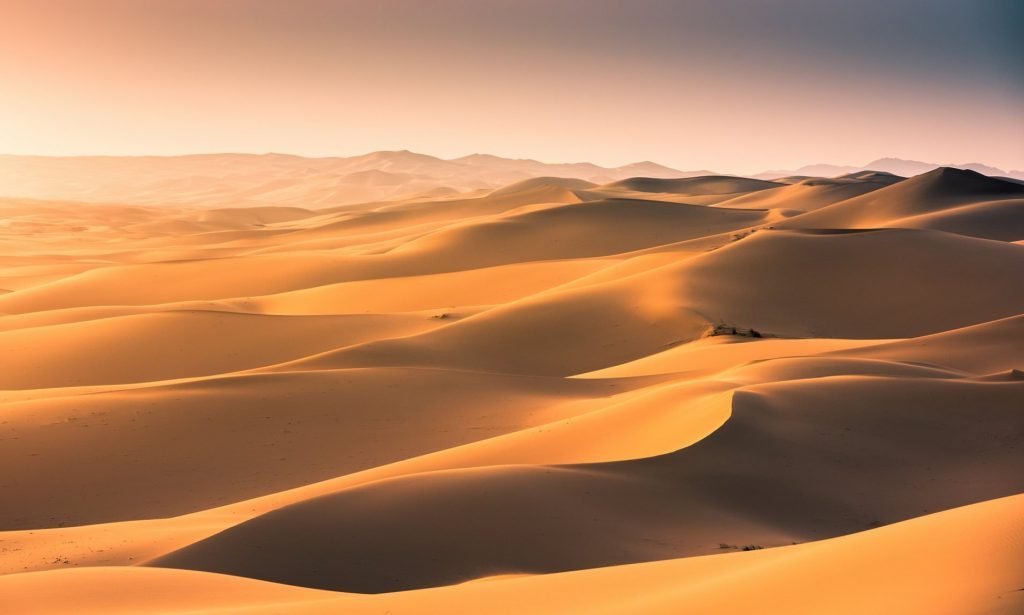 sahara desert dunes
