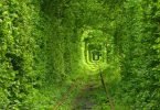 Tunnel Of Love