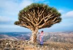 socotra