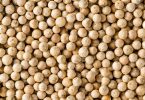 What Is White Pepper And How It Is Beneficial For Your Health